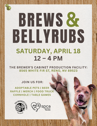 Brews & Belly Rubs: Craft Beer & Pet Adoption Event