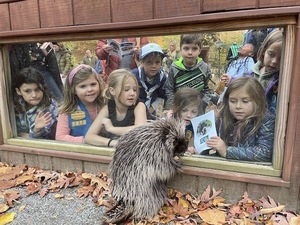 Scout Night @ Brandywine Zoo