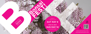 BonsaiFEST!