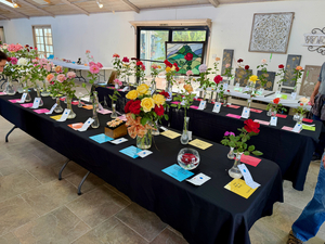 36th Annual Spring Rose Show
