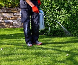 Spring Into Action — Free Lawn Care Workshop!