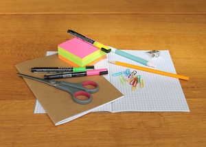 Hangout Hub: STEAM Challenges