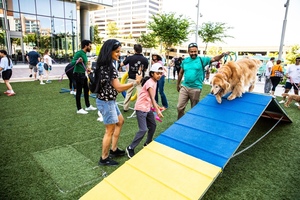 Bark in Boro Park Returns for a Tail-Wagging Spring Celebration