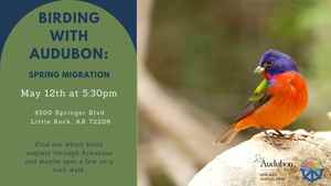 Birding With Audubon: Spring Migration