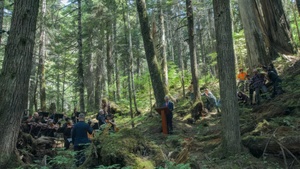 Earth Day Virtual Talk, Paul Walde: Treescape Revolution