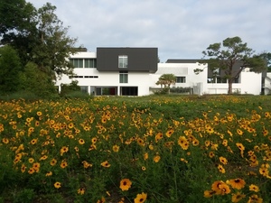 The Elling Eide Center Team-Challenge Bioblitz