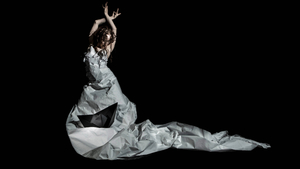 Songs from a Sinking Ship — Flamenco Arts International World Premiere