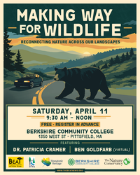 Making Way for Wildlife