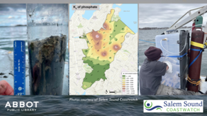 Legacy Nutrients Below: Sediment's Role in Salem Harbor Water Quality