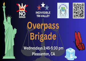 Pleasanton Overpass Brigade