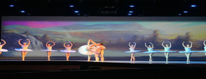 Swan Lake