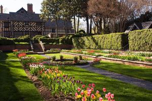 Forest Bathing at beautiful Agecroft Hall & Gardens