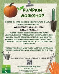 Pumpkin Workshop