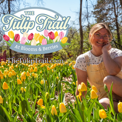 The Tulip Trail