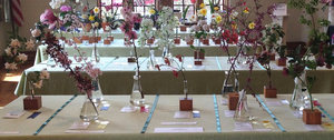 Boone Country Garden Club Hosts the NGC Standard Flower Show