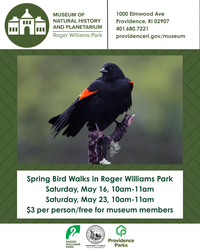 Spring Bird Walks in Roger Williams Park