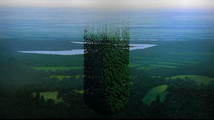 Maikel Martinez: Recent Work