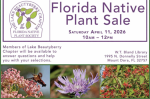 Native Plant Sale by Lake Beautyberry Chapter of Florida Native Plant Society