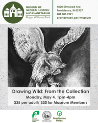 Drawing Wild - From the Collection