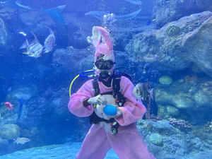 Scuba Bunny at SEA LIFE at Mall of America