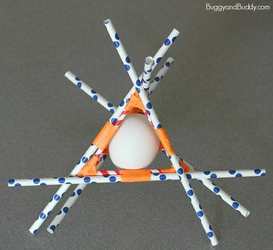 Family Egg Drop Challenge