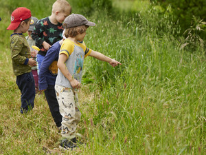 El Cerrito Hillside Festival