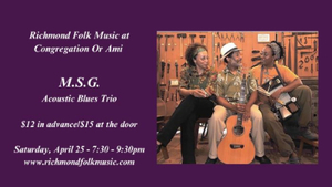 M.S.G. Acoustic Blues Trio - Traditional Piedmont Blues