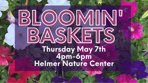 Bloomin' Baskets