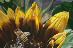 Davis Art Studio Tour Preview Exhibit