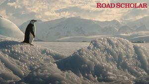 Lectures with Road Scholar: The Frozen Frontier - A Journey into Antarctica