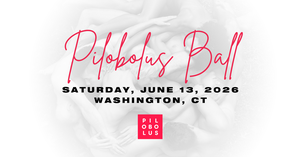 Pilobolus Ball 2026