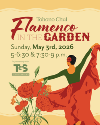 Flamenco in the Garden