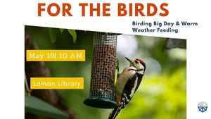 For The Birds: Birding Big Day And Warm Weather Feeding