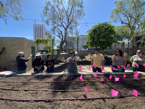 Urban Milpa – Waking Up Life: Planting Seeds