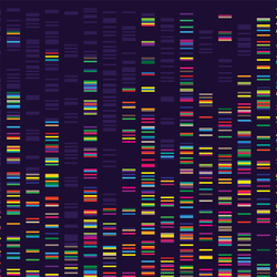 Whose Genes? What Genes Can (and Can’t) Explain About Life