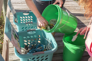 Clean Up at Rotary Park