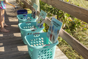 Clean Up at Paradise Beach