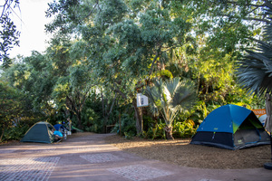 Summer Camp: Field Skills: Saving Florida – Overnight Program