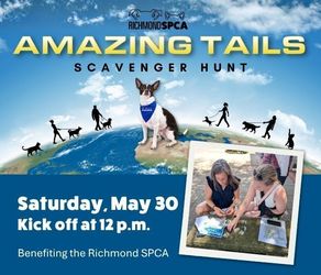 Amazing Tails Scavenger Hunt