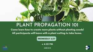 Plant Propagation