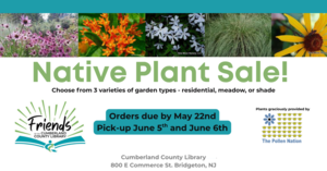 Starter Native Plant Fundraiser!