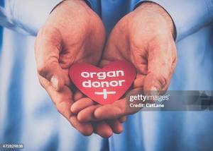 How to Save a Life