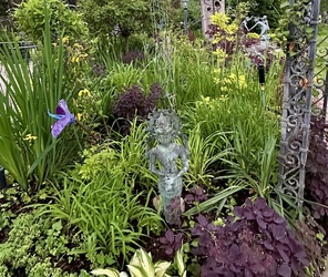 Franklin Garden Walk