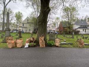 Caring For Your Cemetery Day at Vale