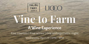 Vine to Farm: A Wine Experience