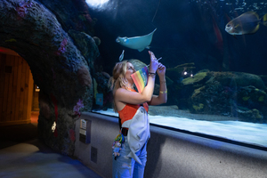 Sharks After Dark - Pride Night