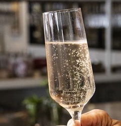 Barks & Bubbles at Elm & Good