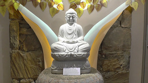 Grand Opening of the Connecticut-Asia Cultural Center August 6th, 207A Westside Rd, Norfolk CT