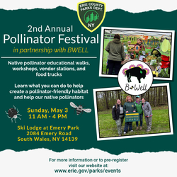 2nd Annual Pollinator Festival