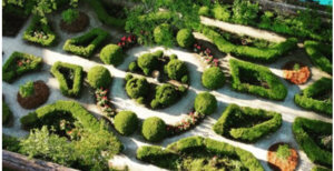 Blooms and Bubbles: Exclusive Garden Tour with the Garden Club of Charleston